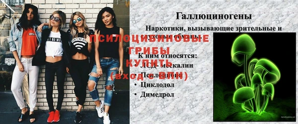 амф Алексин