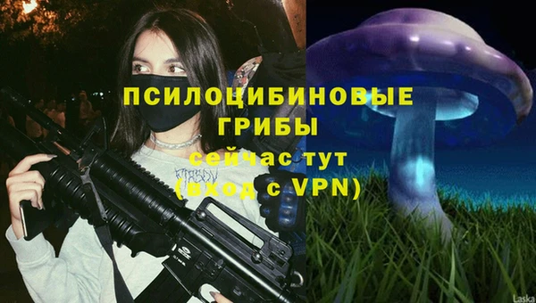 амф Алексин